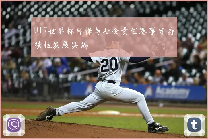 U17世界杯环保与社会责任赛事可持续性发展实践