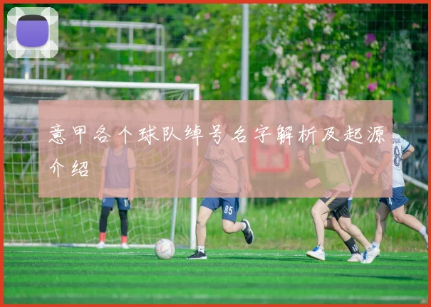 意甲各个球队绰号名字解析及起源介绍